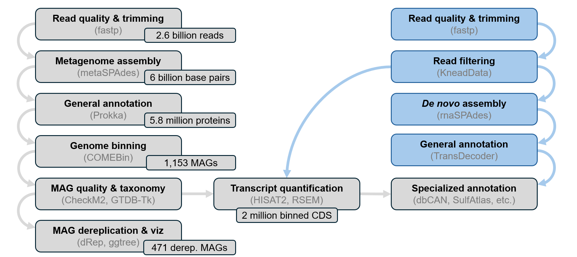 bioinformatics